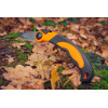 Piła ręczna bushcraftowa składana Neo Tools - 63-120 - NEO Tools - 5