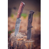 Nóż survivalowy full-tang 23 cm z pokrowcem Neo Tools - 63-111 - NEO Tools - 6