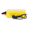 Prostownik inwertorowy Magnum AGRI 25-12/24 - U Ł AGRI25AUT - Magnum - 3