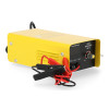 Prostownik inwertorowy Magnum AGRI 30/12 - U Ł AGRI30INV - Magnum - 8