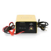 Prostownik inwertorowy Magnum AGRI 50/12 - U Ł AGRI50INV - Magnum - 1