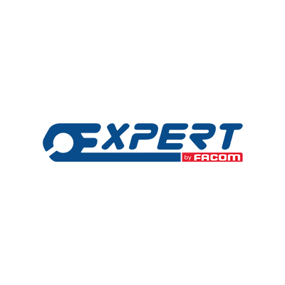 Expert