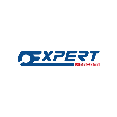 Expert